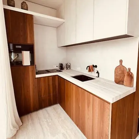 Dakappartement Met Xl Terras Apartamento